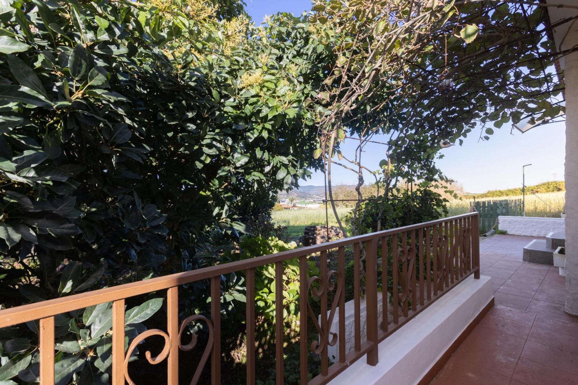 Lightbooking Casa De Campo Ortigal Tenerife La Esperanza  Zewnętrze zdjęcie