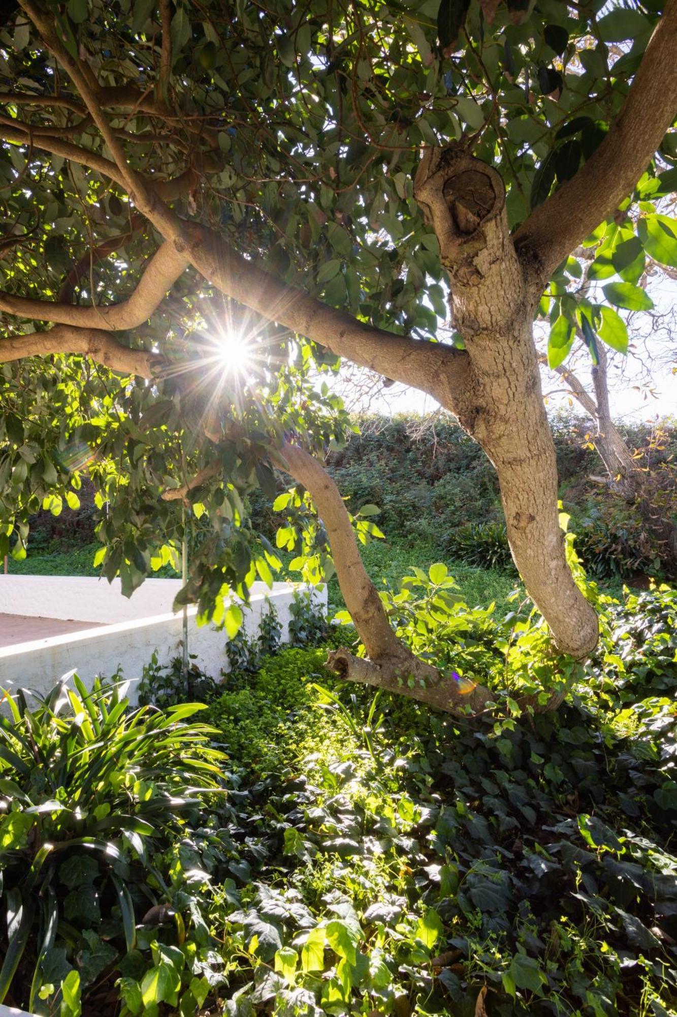 Lightbooking Casa De Campo Ortigal Tenerife La Esperanza  Zewnętrze zdjęcie